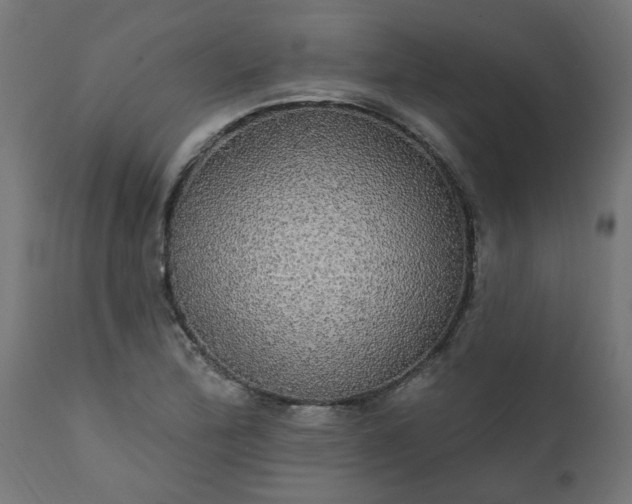 X0000111831172200907301313