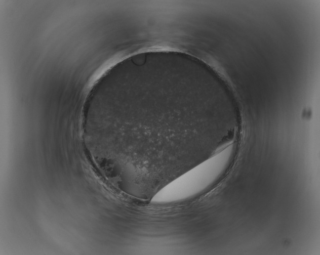 X0000111831173200907301313