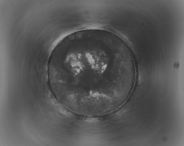 X0000111831174200907301313