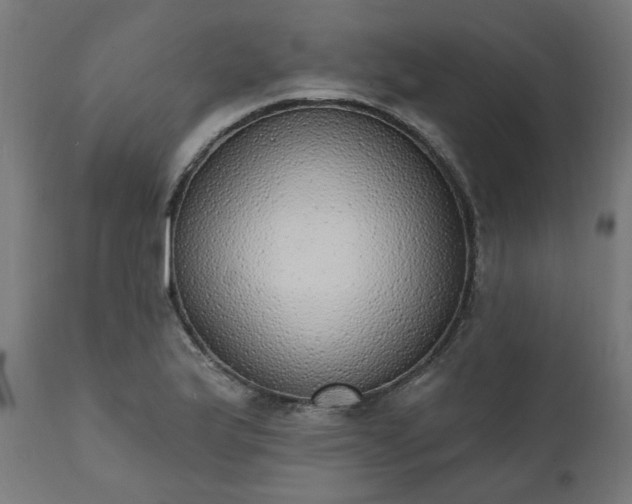 X0000111831175200907301313