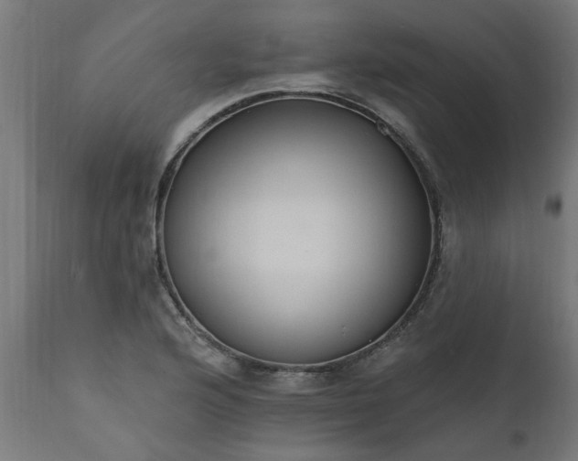 X0000111831176200907301313