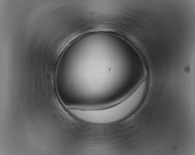 X0000111831177200907301313