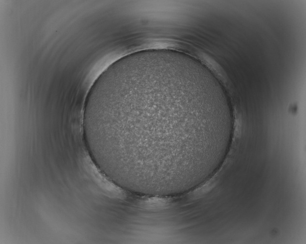 X0000111831178200907301312