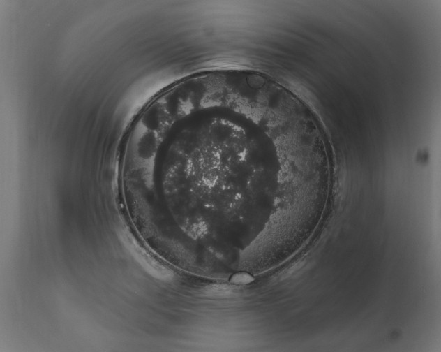 X0000111831179200907301312
