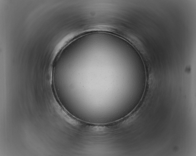 X0000111831180200907301312