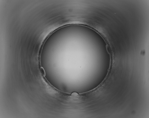 X0000111831181200907301312
