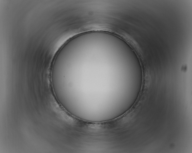 X0000111831182200907301312