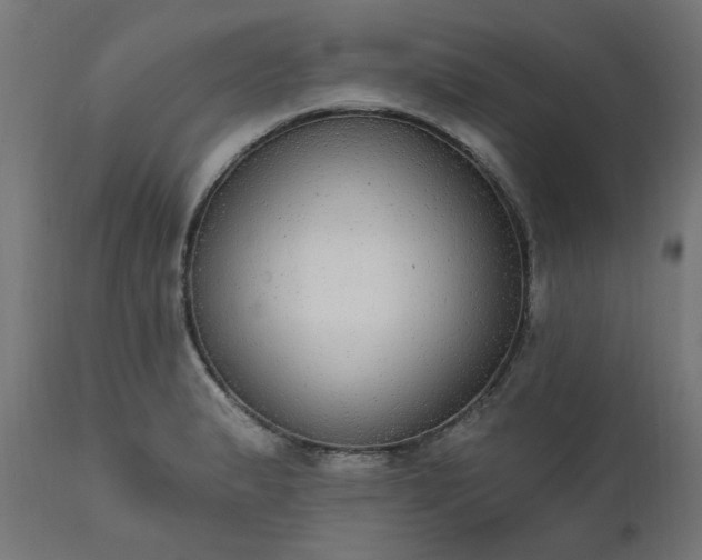 X0000111831183200907301312