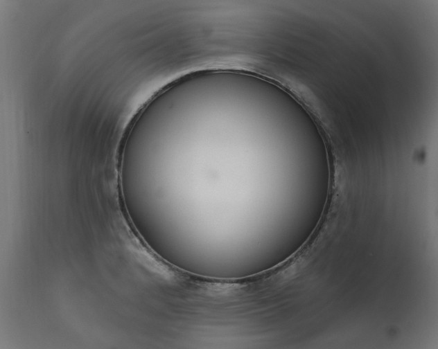 X0000111831184200907301312