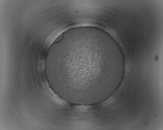 X0000111831185200907301312