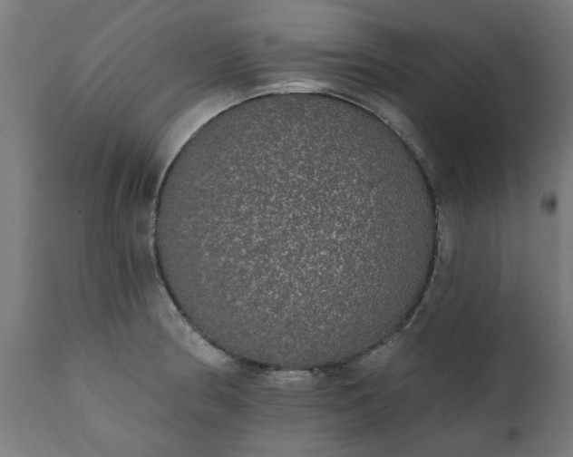 X0000111831186200907301312