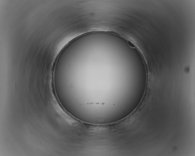 X0000111831187200907301312