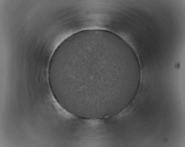X0000111831189200907301312