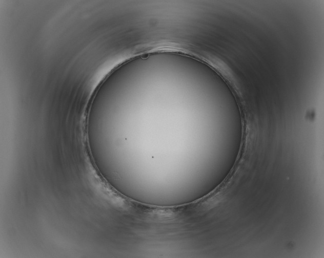 X0000111831190200907301312