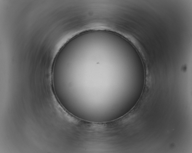 X0000111831191200907301312