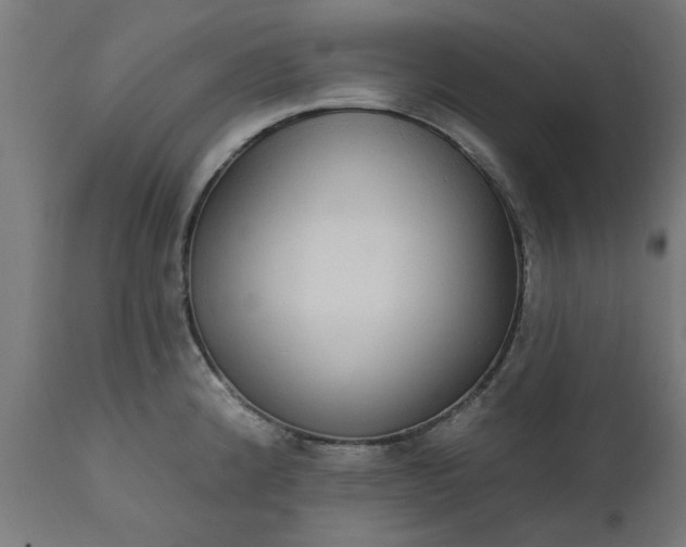 X0000111831192200907301312