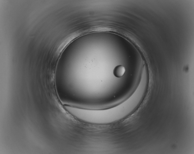 X0000111831193200907301312
