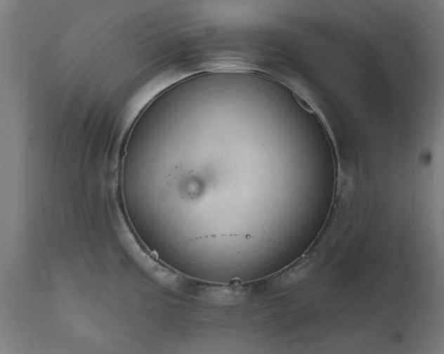X0000111831195200907301312