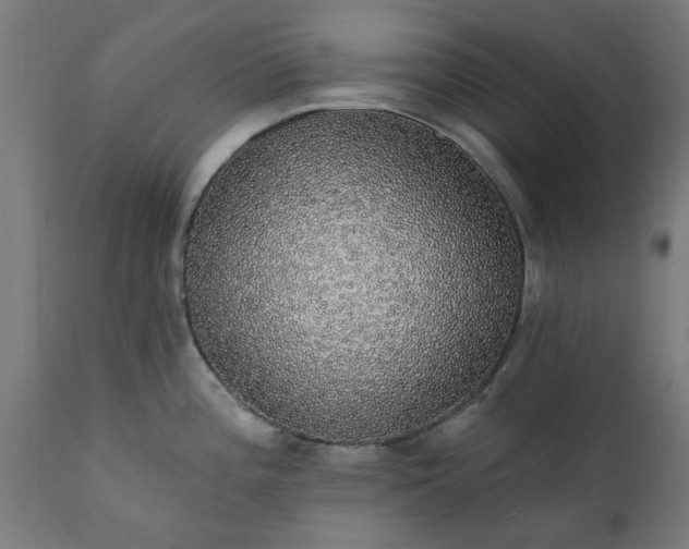 X0000111831196200907301312