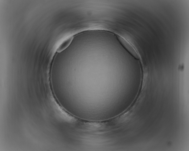 X0000111831197200907301312