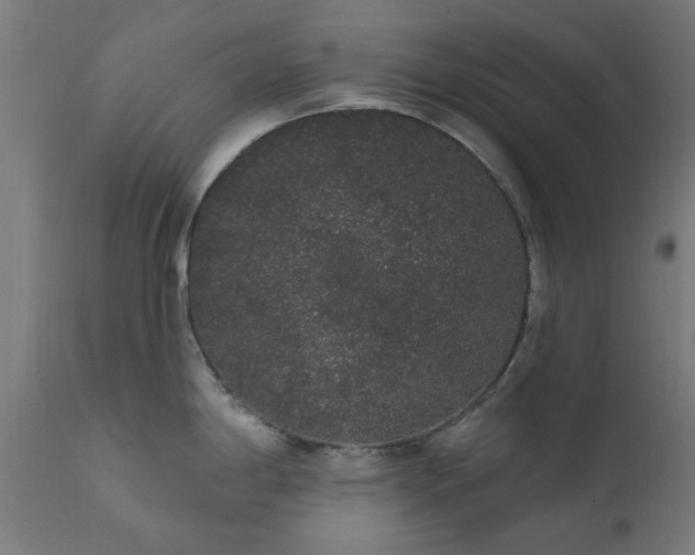 X0000111831198200907301312