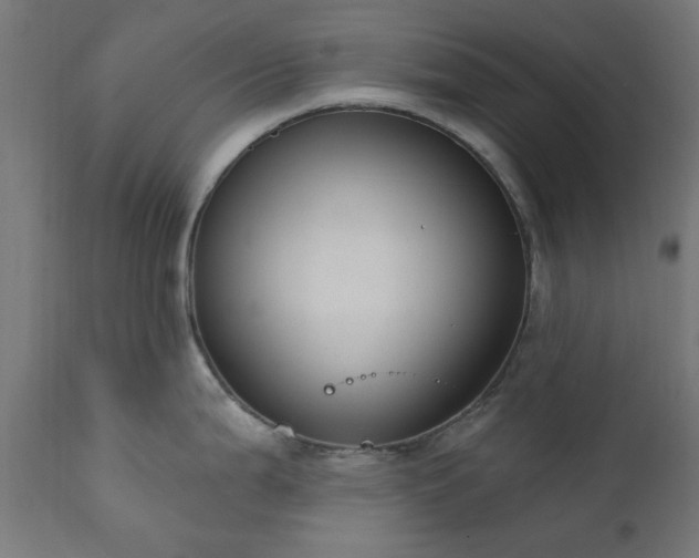 X0000111831199200907301312