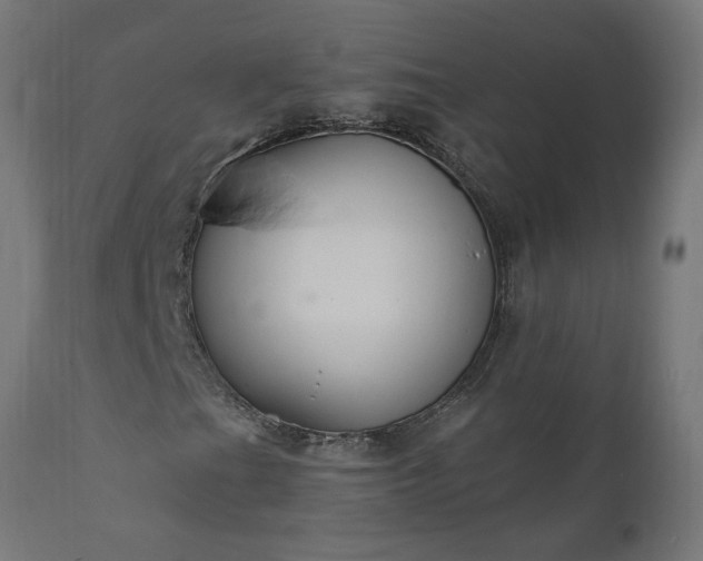X0000111831201200907301312