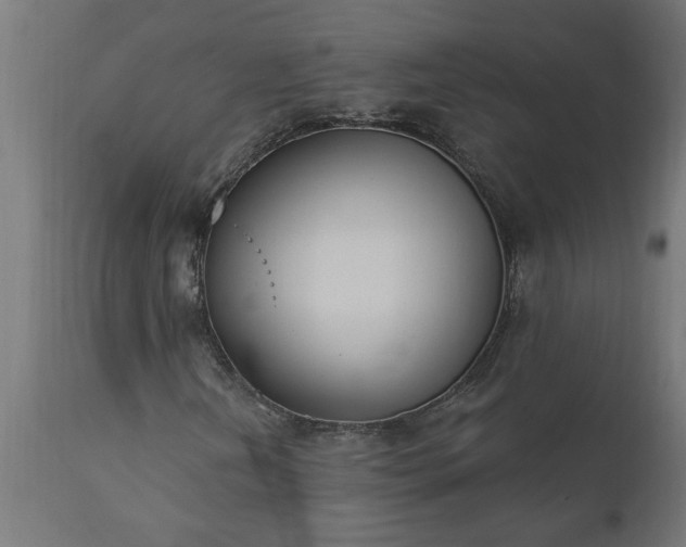 X0000111831202200907301312