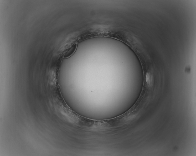 X0000111831203200907301312
