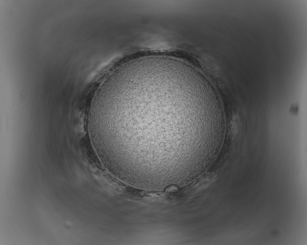 X0000111831205200907301312