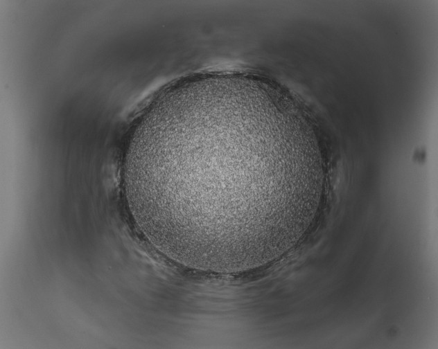 X0000111831206200907301312