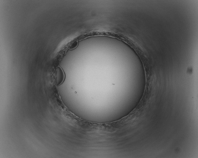 X0000111831207200907301312