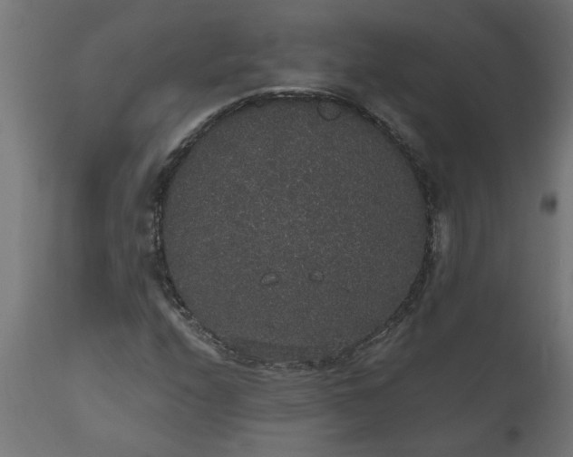X0000111831208200907301312