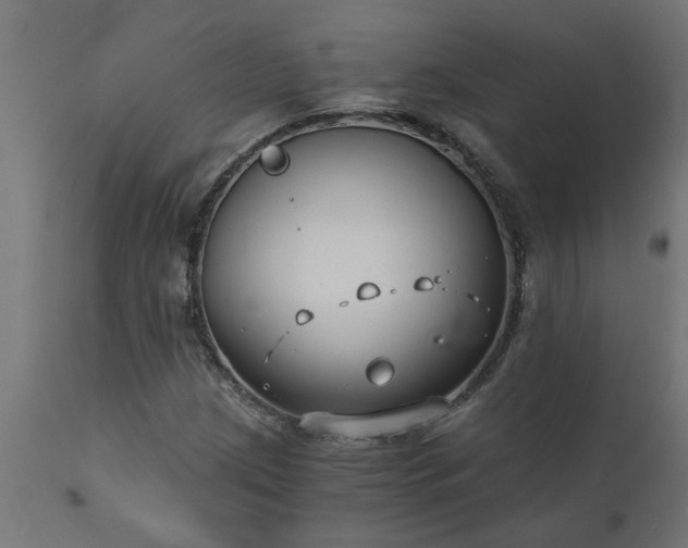 X0000111831209200907301312