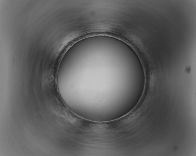 X0000111831210200907301312