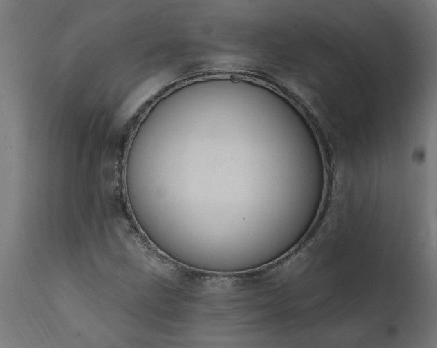 X0000111831211200907301312