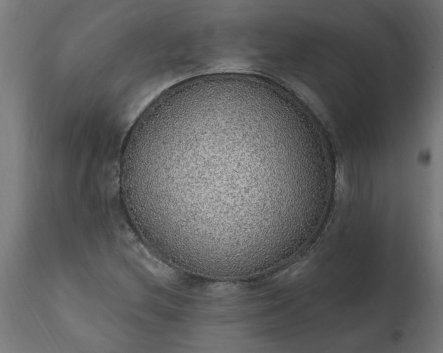 X0000111831212200907301312
