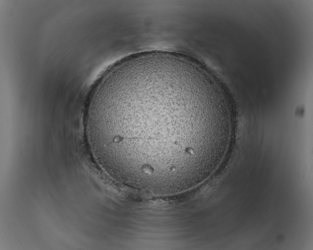 X0000111831214200907301312