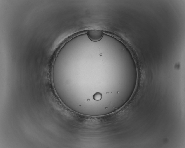 X0000111831215200907301312