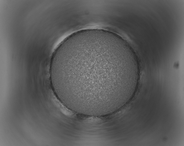 X0000111831216200907301312