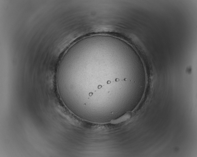 X0000111831217200907301312