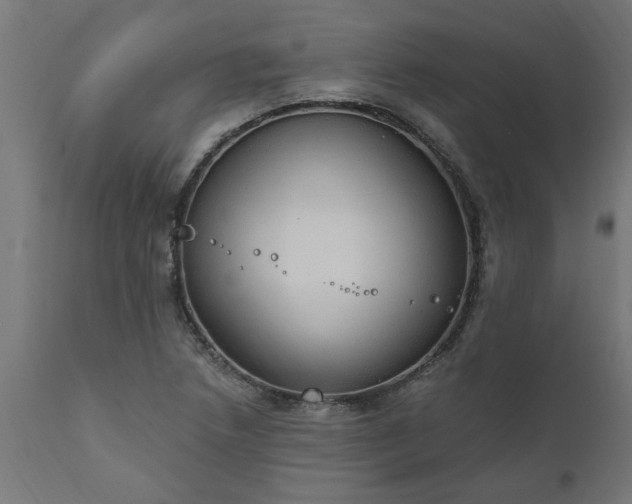 X0000111831218200907301312