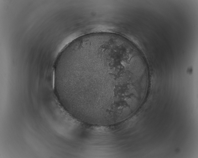 X0000111831219200907301312