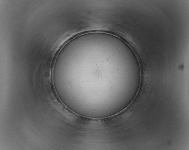 X0000111831220200907301312