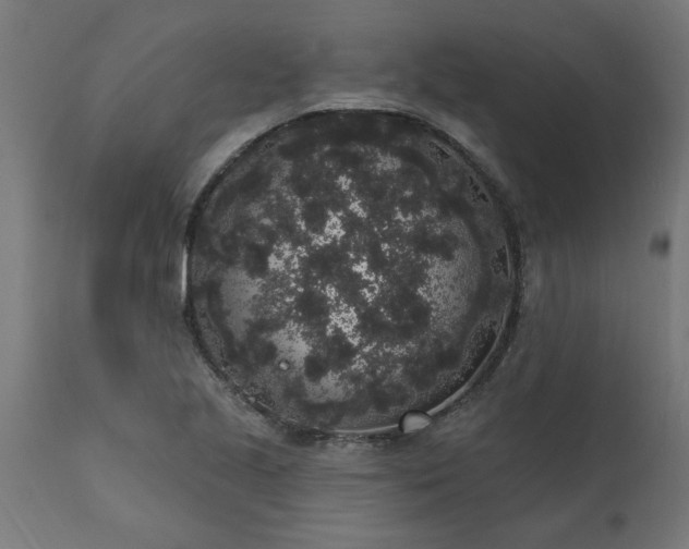 X0000111831221200907301312