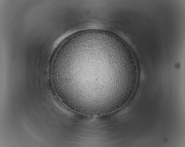 X0000111831222200907301312