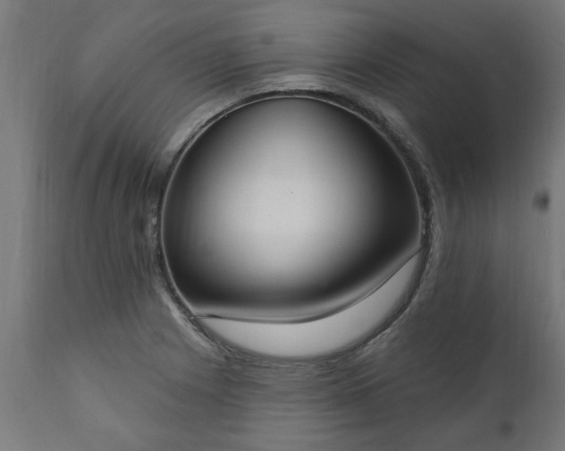 X0000111831225200907301312