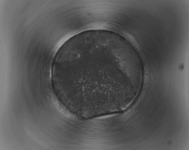 X0000111831226200907301312