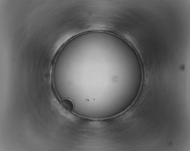 X0000111831227200907301312
