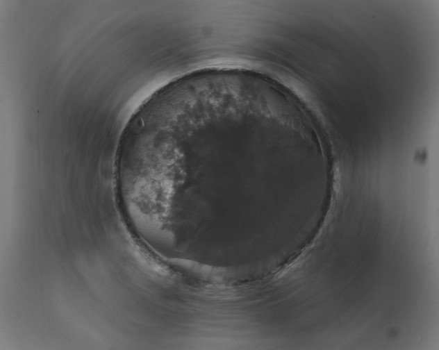 X0000111831229200907301312